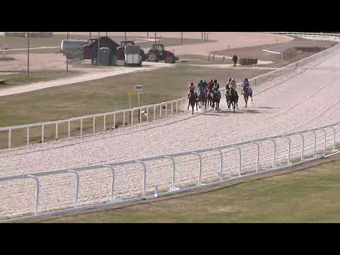 2021.03.28. 04. futam -  TAVASZI HENDIKEP (III.o.) (szintetikus pálya)