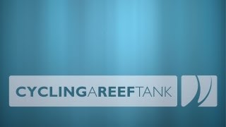 Cycling a Reef Tank