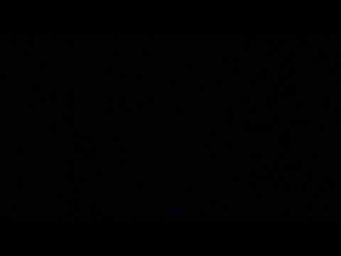 El Pájaro y la Ballena : Aidan MacKay