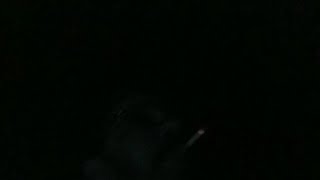 Lil Dawg, Ike Stevens