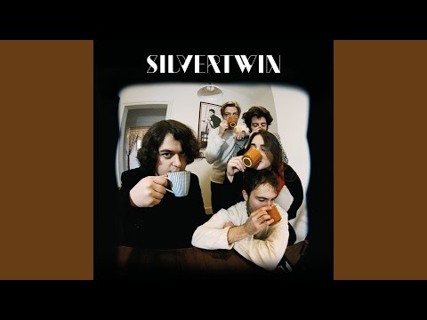 Promises - Silvertwin