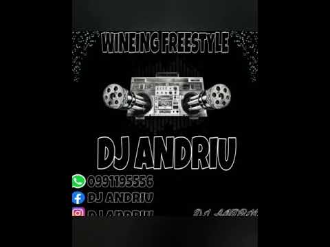 🕺WINEING FREESTYLE💃(🎶DJ ANDRIU 🎶)