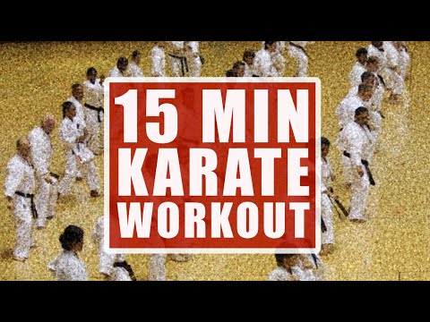 15 MINUTE KARATE WORKOUT