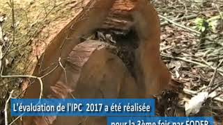 Les résultats de l'indice de perception de la corruption dans le secteur forêt et faune au Cameroun