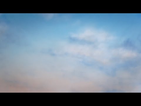 Maddie Ashman - Waterlily (Official Visualiser)