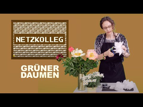 Netzkolleg Grüner Daumen (Bildung im Netz F5 K1)