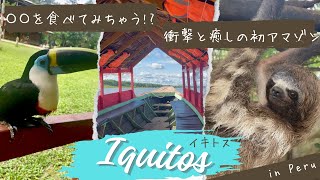【ペルー旅vlog】inイキトス / アマゾン怖いけど程よく楽しむ / と言いつつ〇〇食べちゃう!? /ナマケモノを始め動物に癒される2日間