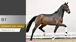 Video of Hengst von Total Diamond / De Niro