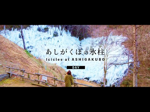 あしがくぼの氷柱｜DAY