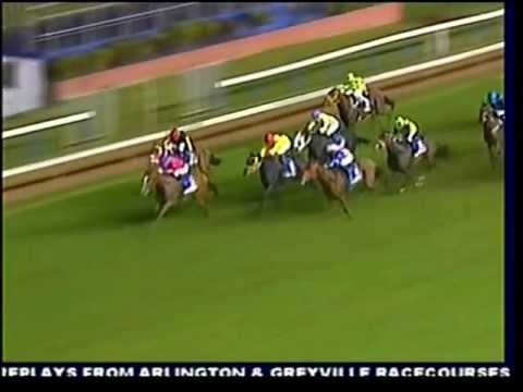 2013-05-17 Greyville - race 9