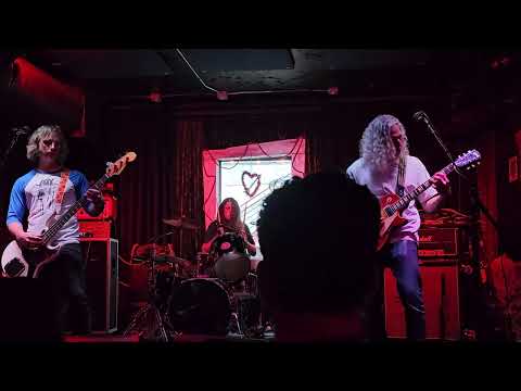 Haardvark video