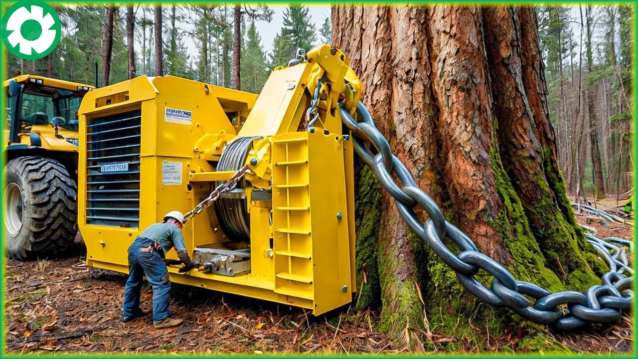 Most Extreme Fastest Big Chainsaw Cutting Tree Machines | Biggest Heavy Equipment Machines