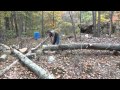 Daily Life On The Off Grid Homestead Preparing For ...