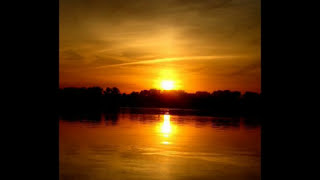 Enya (Stars and midnight blue)