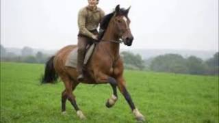 medios hermanos joan sebastian ivan albeiro otalvaro