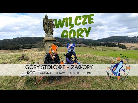 Wilcze Góry - Góry Stołowe - Zawory - Róg
