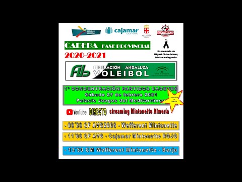 CADEBA. 1ª CONCENTRACION PARTIDOS CADETES