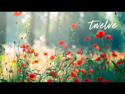 12 Hours of Relaxing Music - Piano Music for Stress Relief, Sleep Music, Meditation Music (Riley)