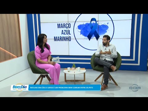 Refluxo em Cães e Gatos é problema comum entre pets 20 03 2023