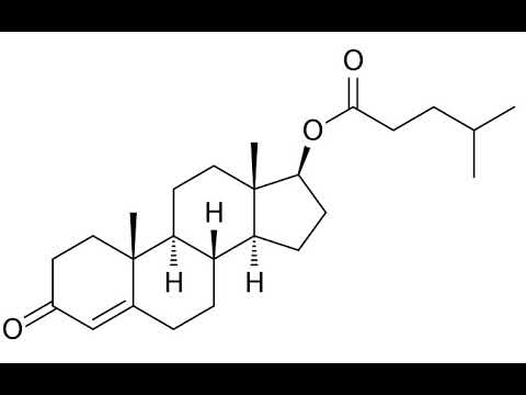 Sustanon 250 Mg Injection.
