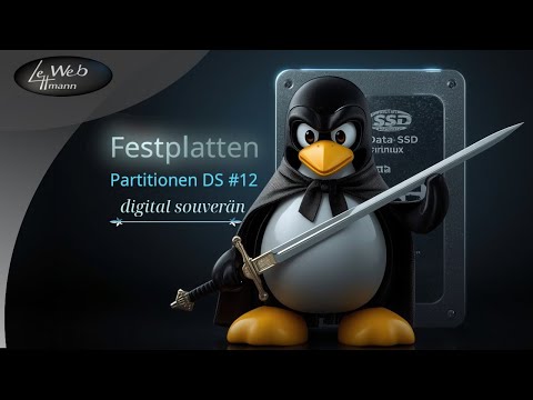 Linux alongside Windows 11 - Partitioning hard drives explained simply - DS#12