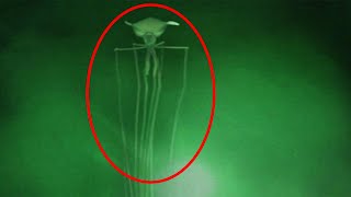 Top 15 SCARY Mysterious Creatures Caught On Video