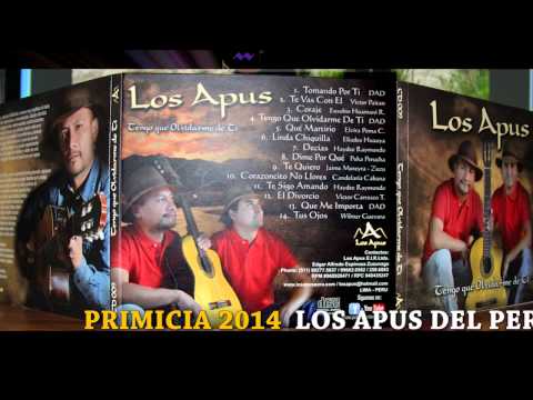 LOS APUS 2014 - DIME PORQUÉ