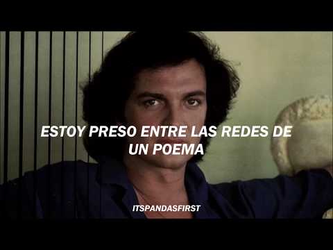 Si Me Dejas Ahora - Camilo Sesto | letra