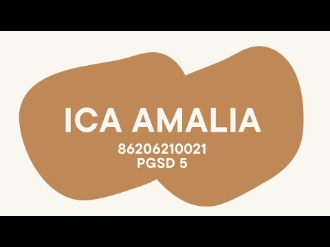 Ica Amalia (86206210021)