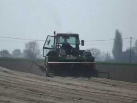 Claerhout: Aardappels planten.