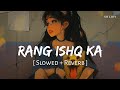 Rang Ishq Ka (Slowed + Reverb) | Vishal Mishra | Bade Miyan Chote Miyan | SR Lofi