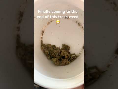 #rawlife #stonersonly #raw #high #medicaldrugs #baked #hemphealing #medicalmarijuanas #rollup