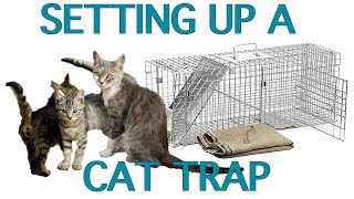 Updated! How to Set a Cat Trap