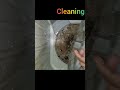 How to Clean Samsung Washing Machine