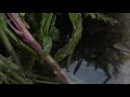 Loscil: Endless Falls - Estuarine