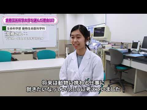 生命科学科 先輩の声｜動物生命科学科01
