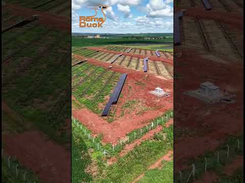 UFV São Gabriel do Oeste (MS)