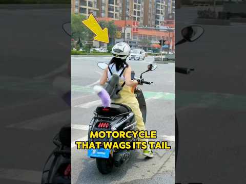 This Cute Rider Added a Cute Tail to Her Motorcycle #motorcycle