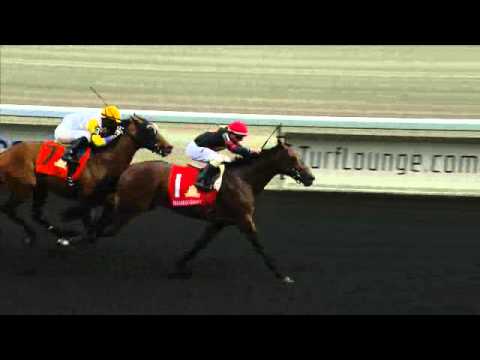 GHOSTZAPPER JUL 2015   HD 1