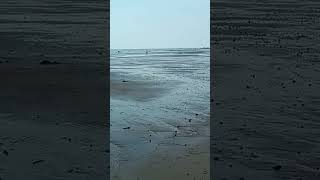 Download lagu detik detik air laut kering #viral #trendingshorts mp3