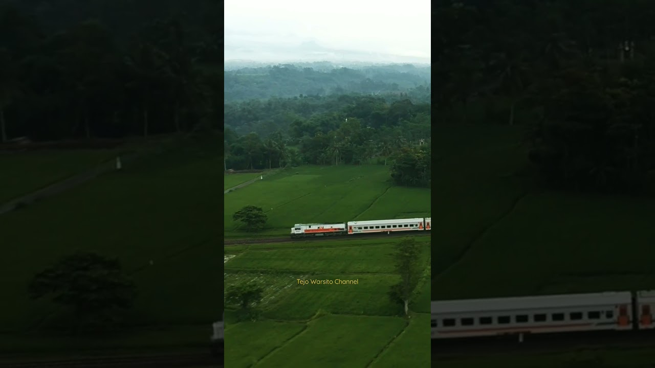 Kereta Api Probowangi #keretaapi #railfans #kai #shorts #keretaapiindonesia #jember