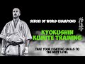 Karate Kyokushin Kumite Master Class