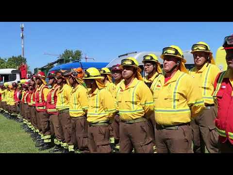 PLAN DE ACCIÓN BUSCA PREVENIR INCENDIOS FORESTALES EN EL MAULE