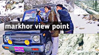 winter .Wild goats view Point