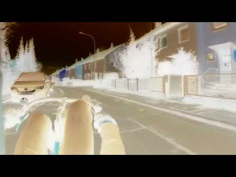 Liegerad Flux Z-Pro - Test Gimbal