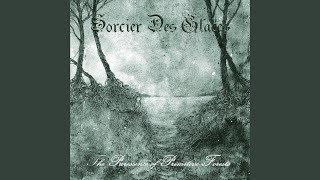 Tormentor I (Tormentor Cover)