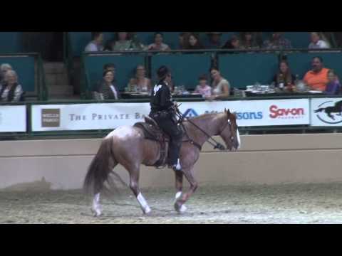 Tommie Turvey with Blade, Cutaway & Maverick - Night of the Horse 2013