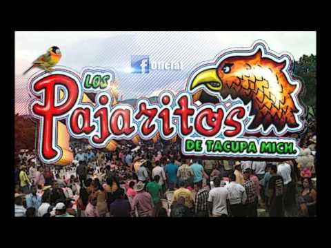 BANDA PAJARITOS . EN VIVO DESDE SALITRE PALMARILLOS EDO DE MEX