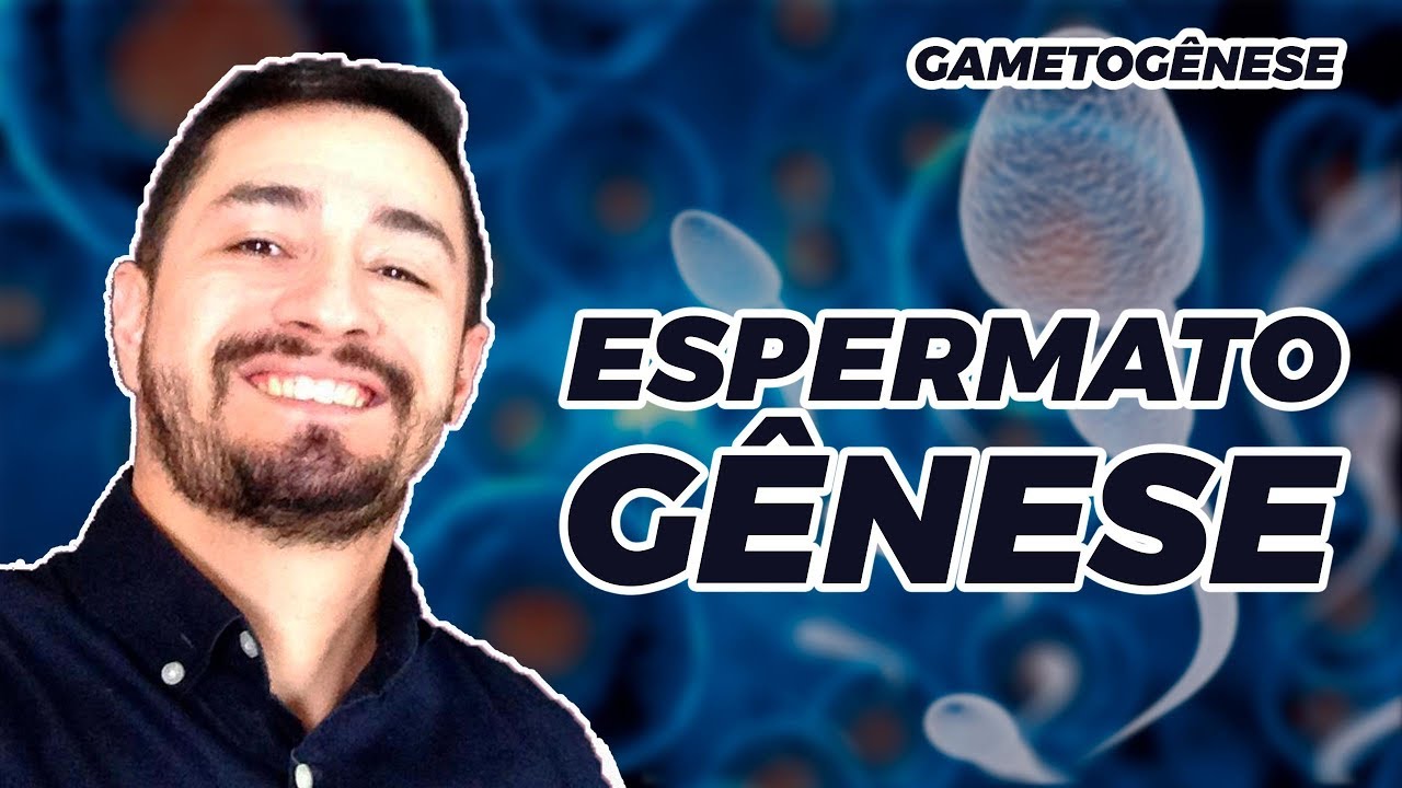 GAMETOGÊNESE MASCULINA
