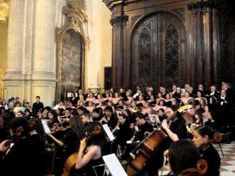 Gentleman Gipsy - Musica nella cattedrale di Malaga - Spagna
